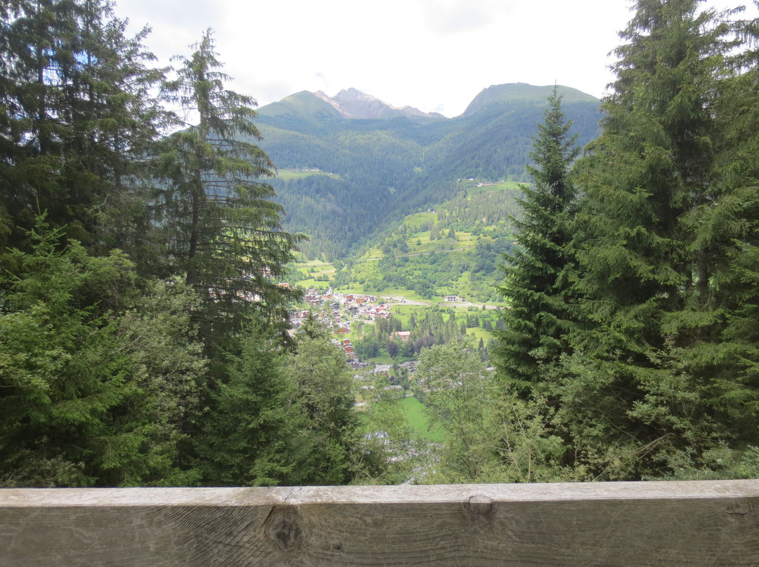 Garni la Genziana主图