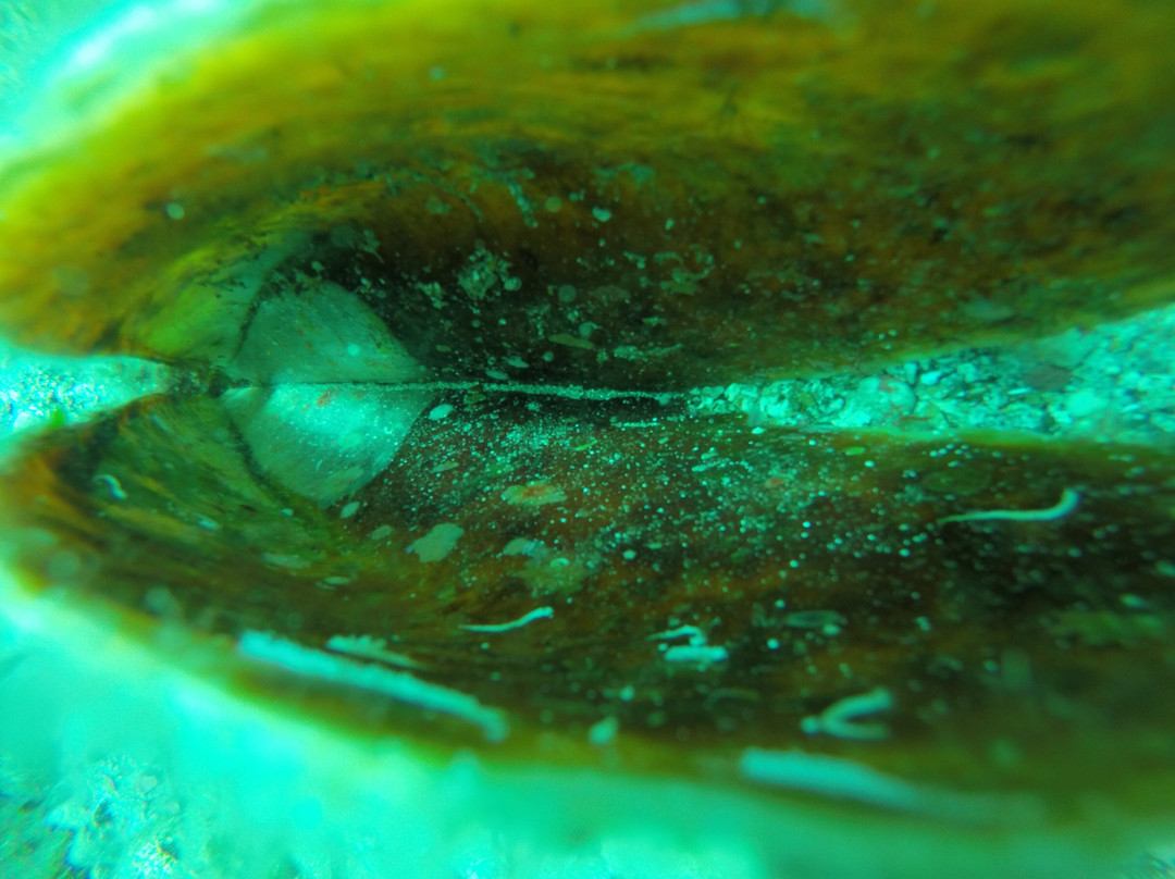 Amaso Dive Center-Agios Kirykos必去景点