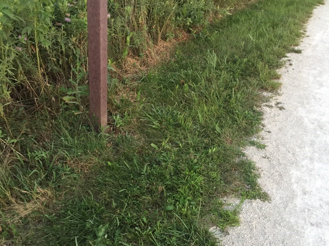 Springbrook Prairie Forest Preserve-内珀维尔必去景点
