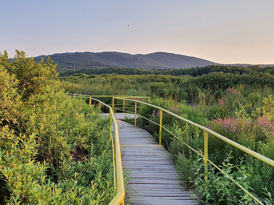The Arkutino Reserve-普里莫斯科必去景点