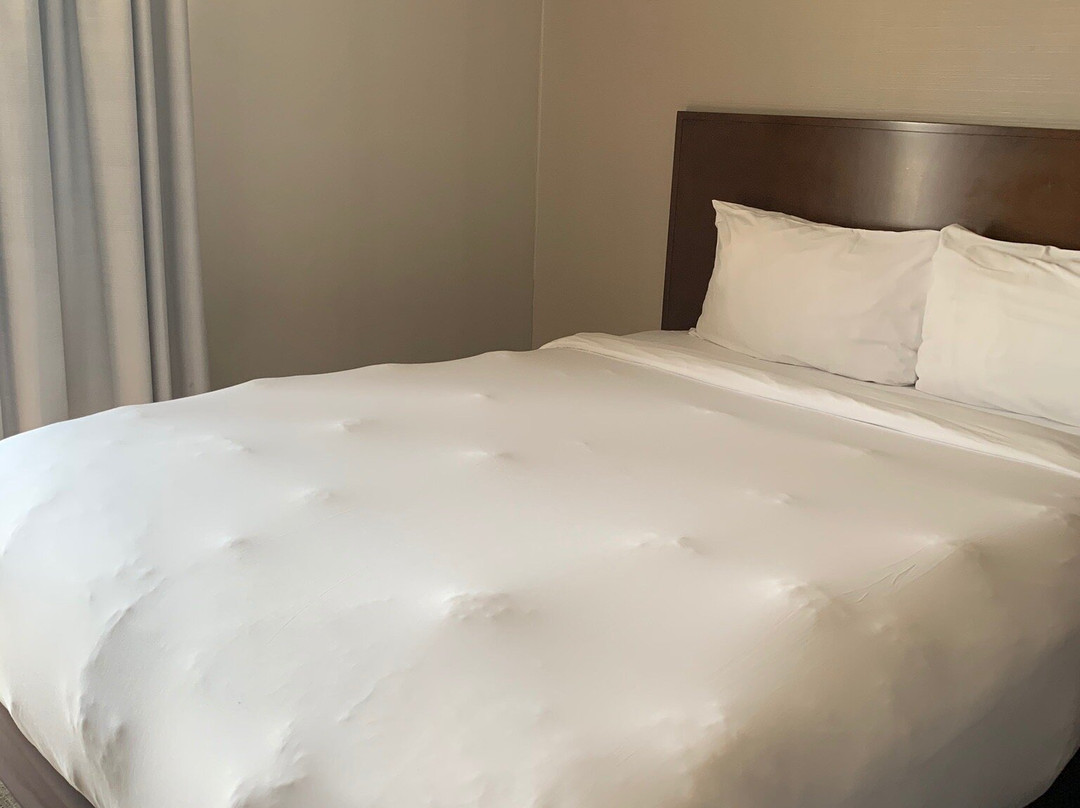 克拉丽奥酒店主图