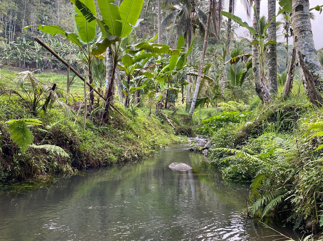 Villa Artis Jatiluwih主图