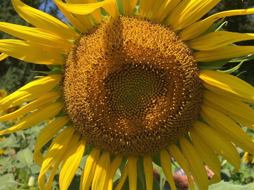 McKee-Beshers Wildlife Management Area-Poolesville必去景点