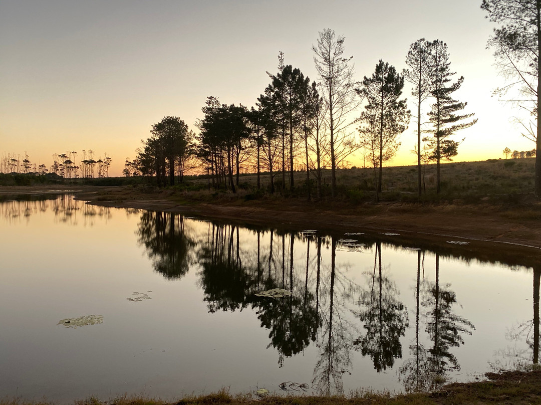 Cairnbrogie-普利登堡湾必去景点