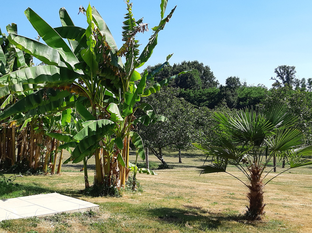 La Ferme de Laupiliere主图