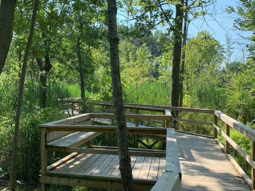 Stiglmeier Park景点图片