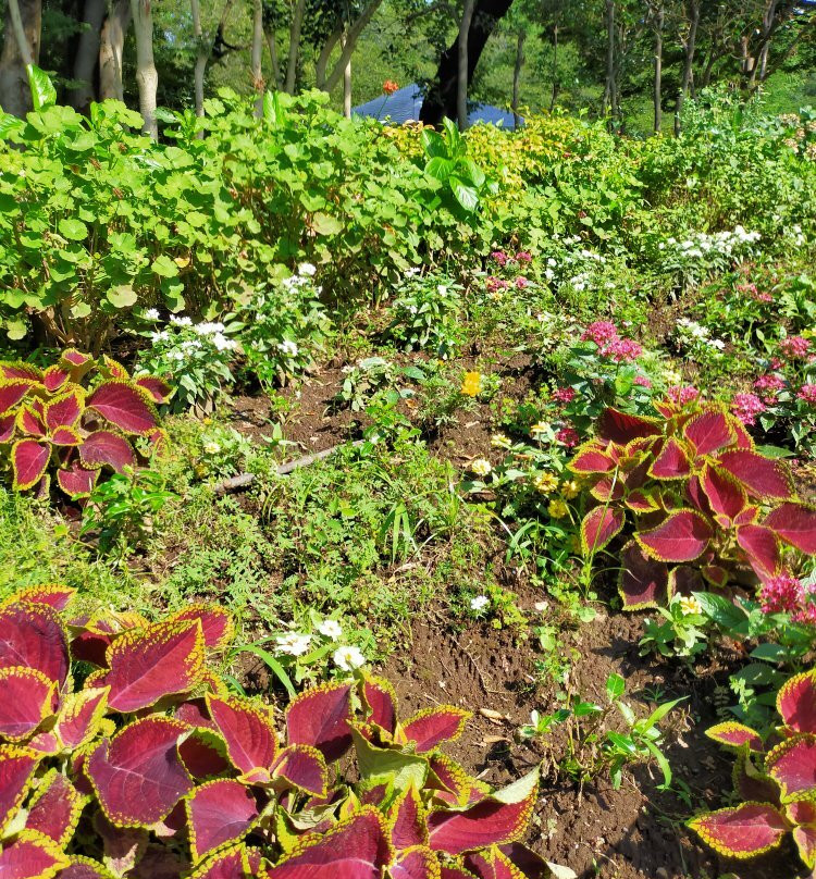 Akatsuka Park-板桥区必去景点