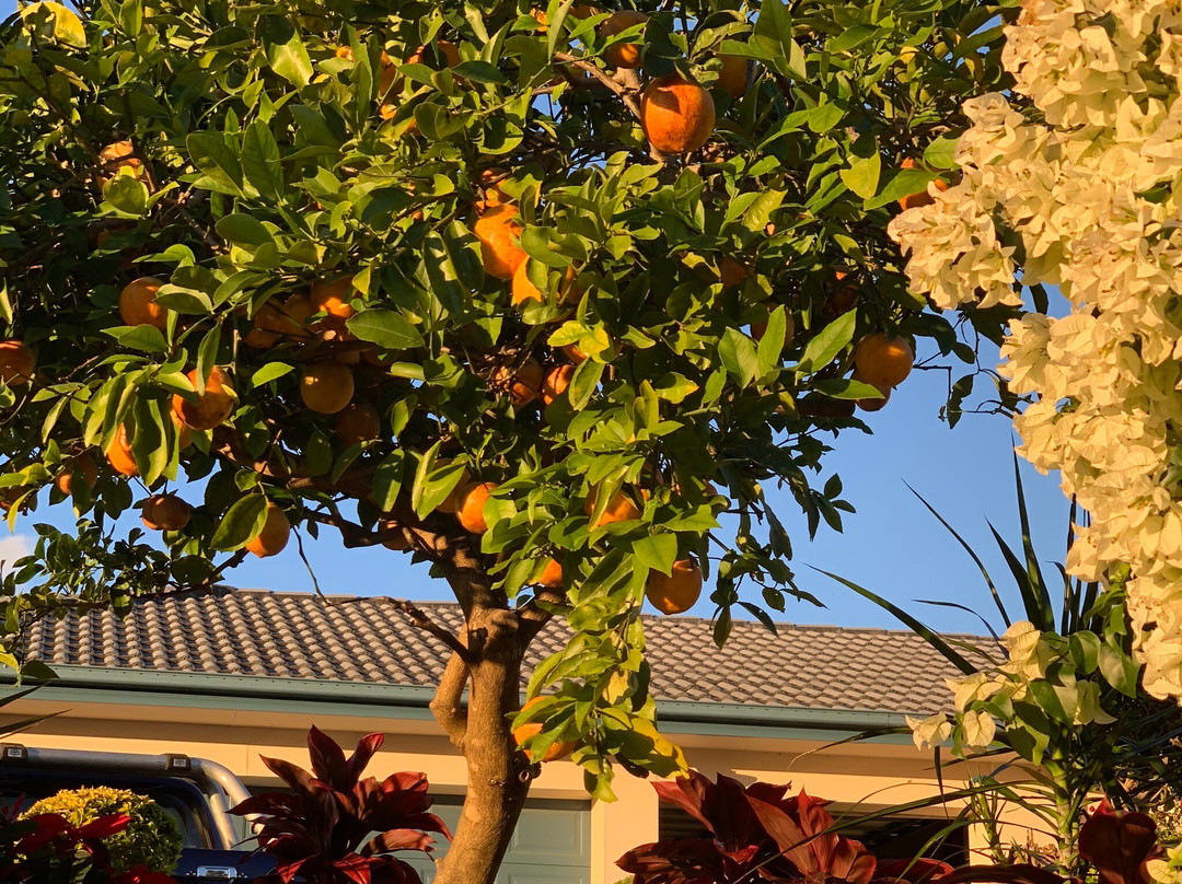 Arundel Hills Country Club-Arundel必去景点