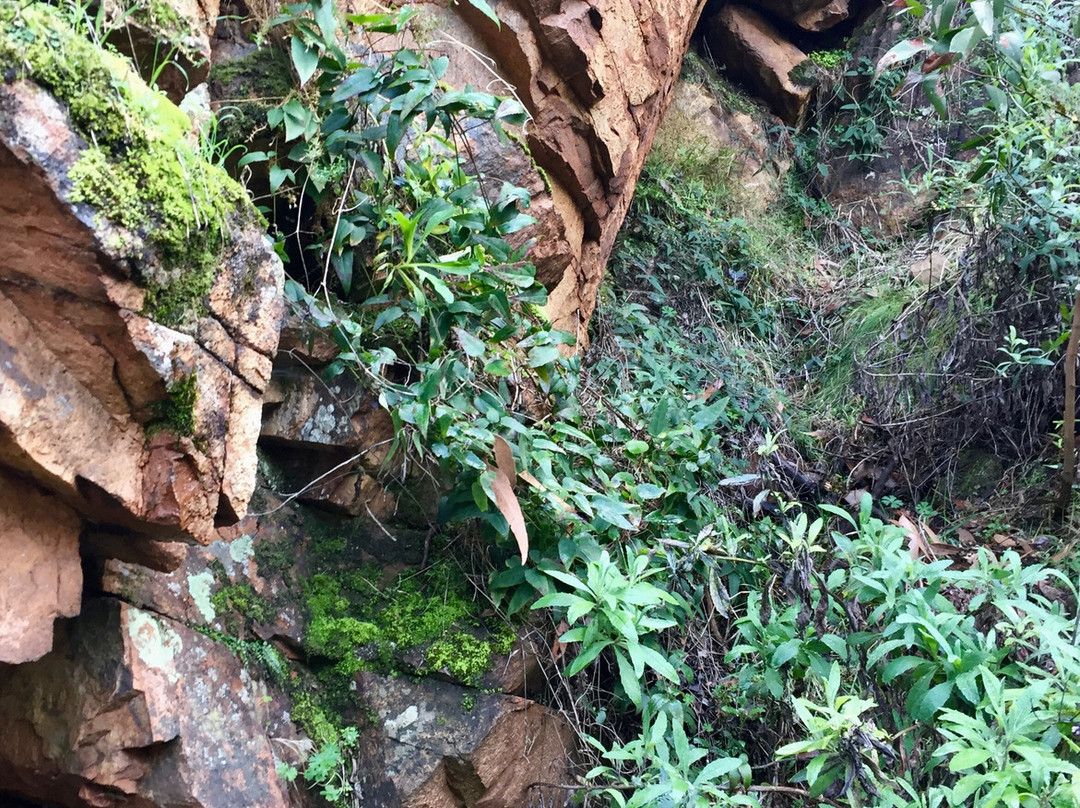 McKenzies Falls-哈密尔顿必去景点