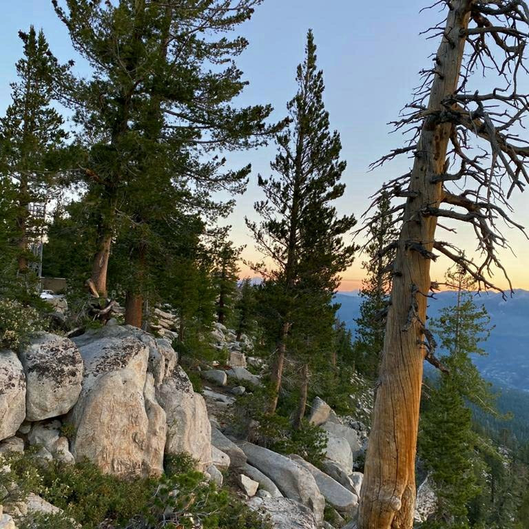 White Bark Vista Point-Lakeshore必去景点