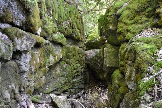 Nottawasaga Lookout Provincial Nature Reserve-Duntroon必去景点