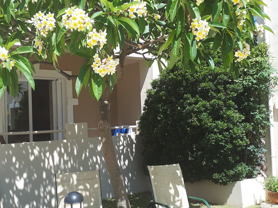 Toxo Hotel & Apartments主图