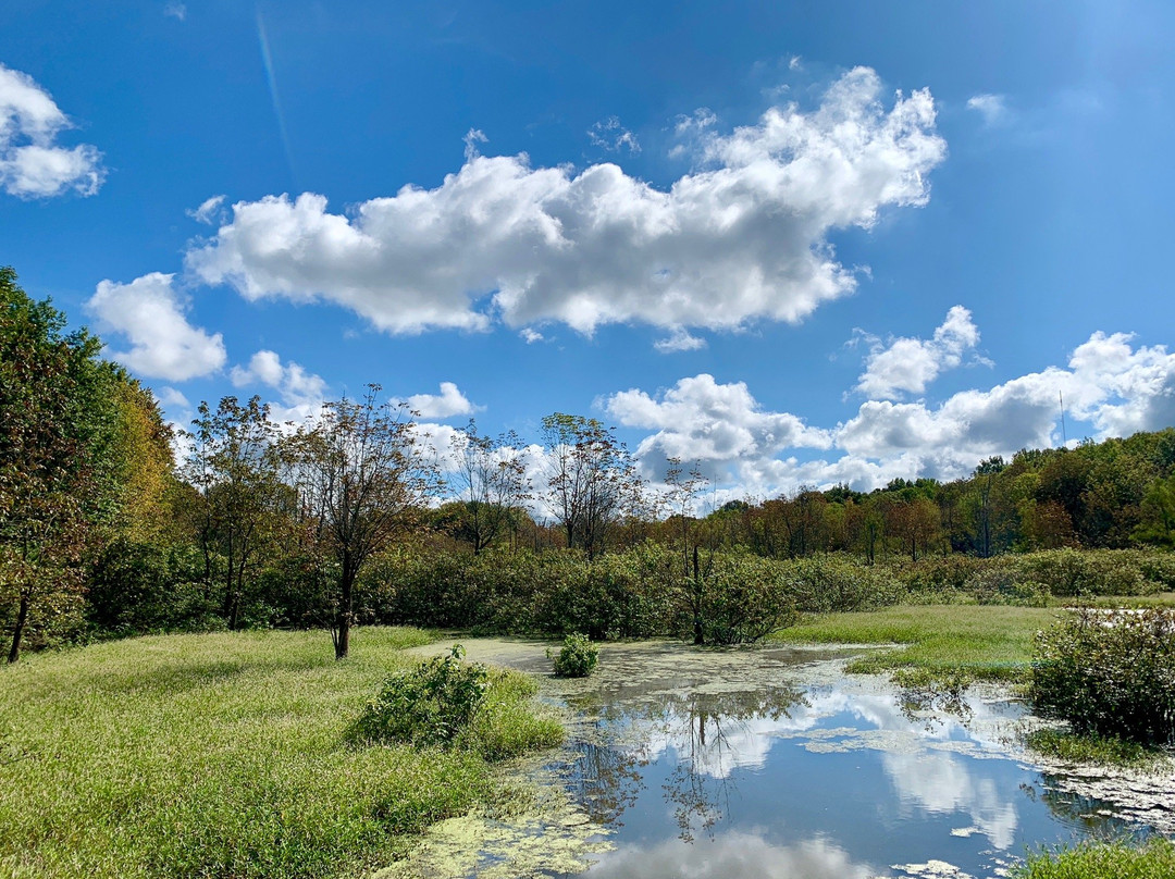 John James Audubon State Park-Henderson必去景点