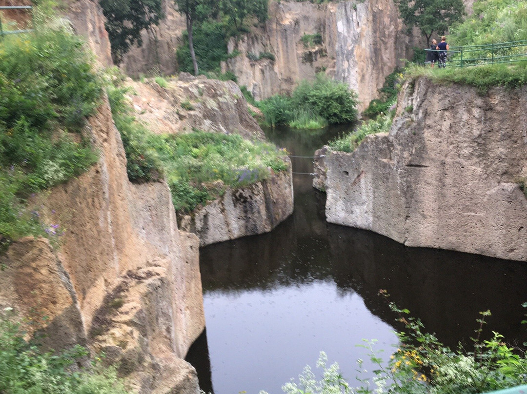 Megyer-hegy Tarn景点图片