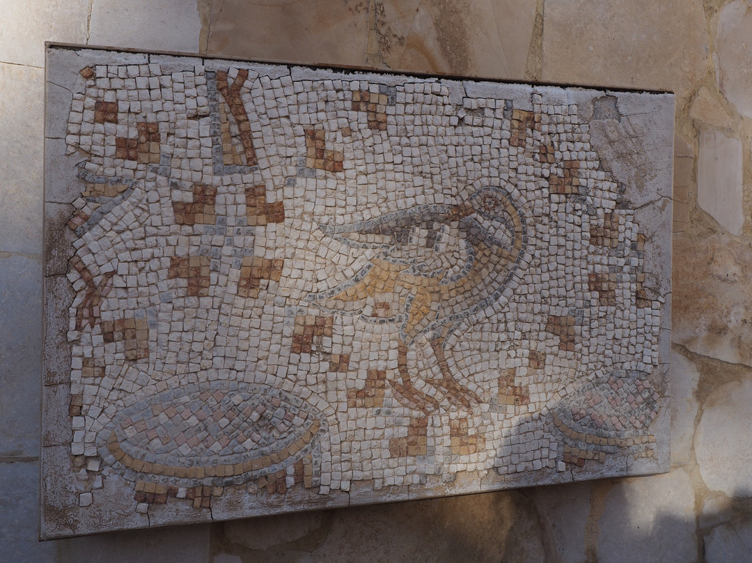 Madaba Archaeological Museum-米底巴必去景点