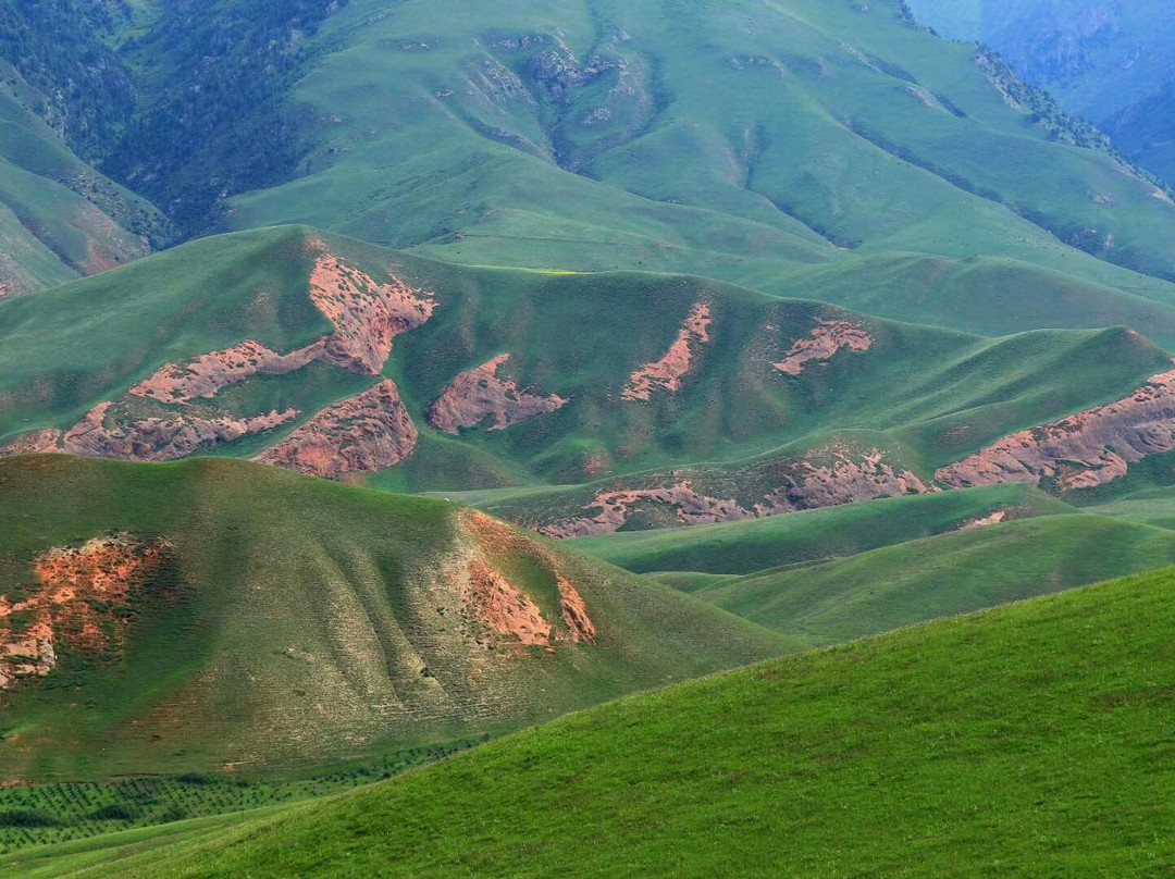 卓尔山景点图片