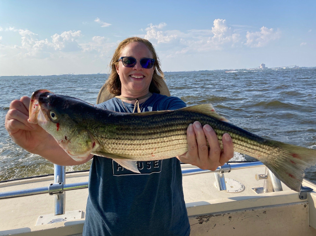 Chesapeake Bay Sport Fishing景点图片