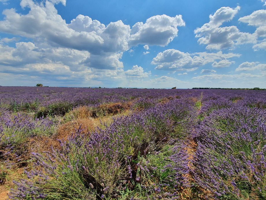 Lavande Angelvin-瓦朗索勒必去景点