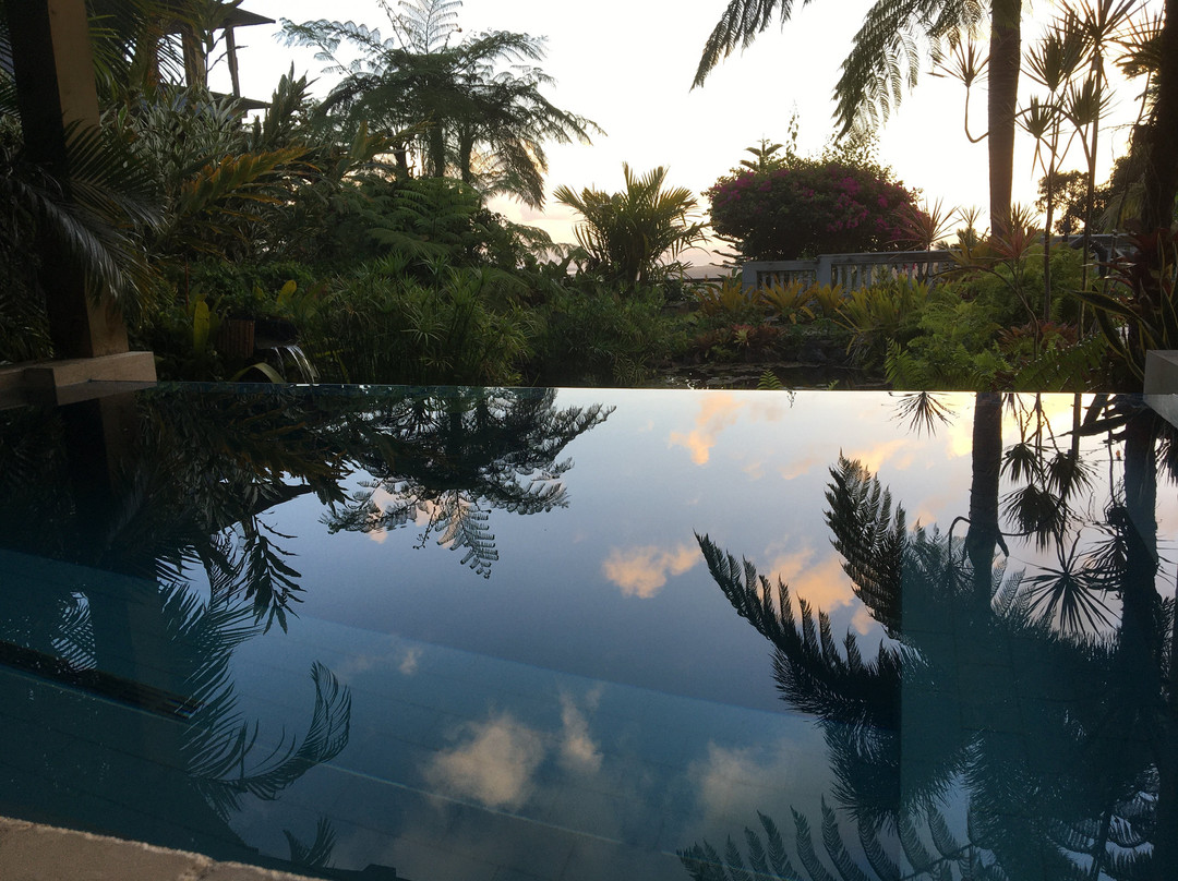 EL Yunque Rainforest Inn主图