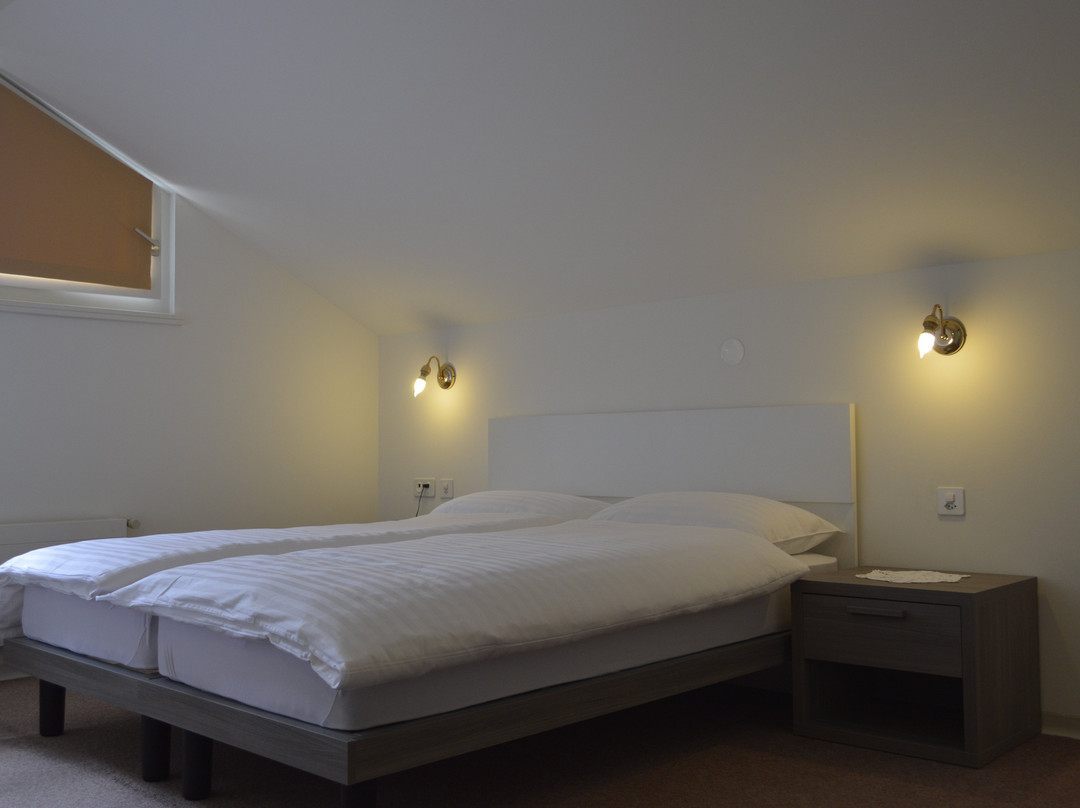 Hotel Svizzero主图