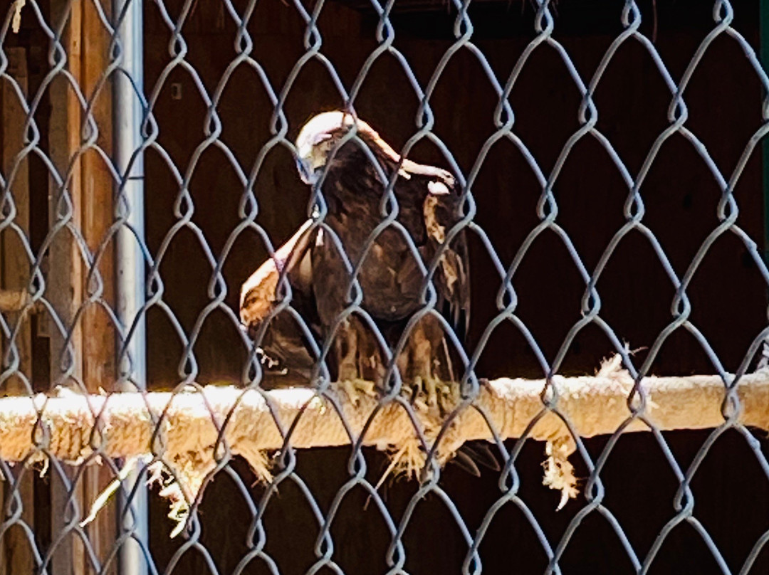 Wildhaven Ranch-箭头湖必去景点