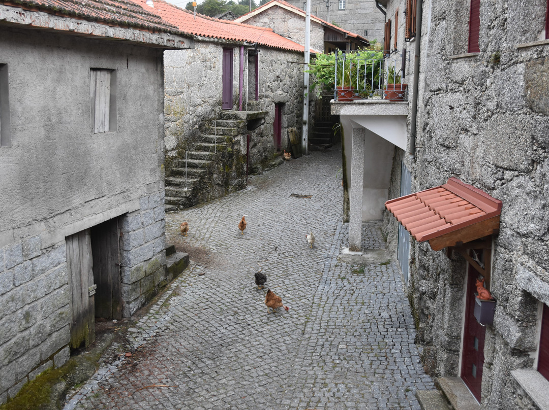 Casa de Campo Monte Abades主图