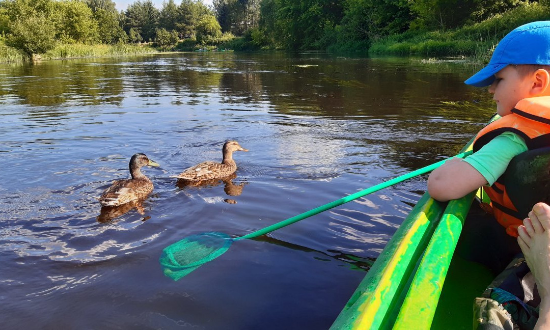 Przystan nad Wkra KAJA-SOBIESKI-Plonsk必去景点