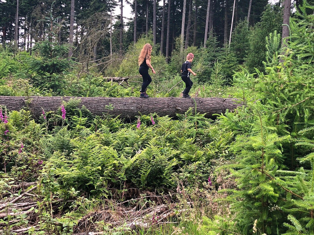 Kirkhill Forest and Tyrebagger Wood-阿伯丁必去景点