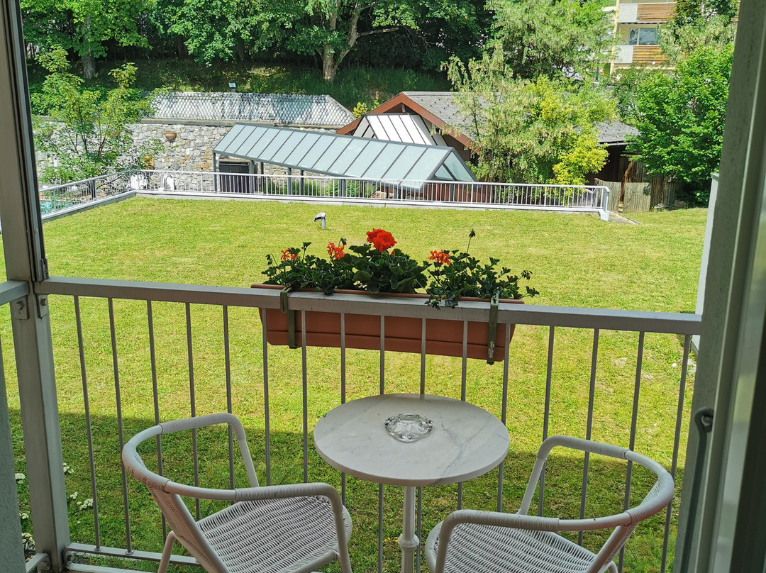 德索尔斯阿尔卑斯酒店主图