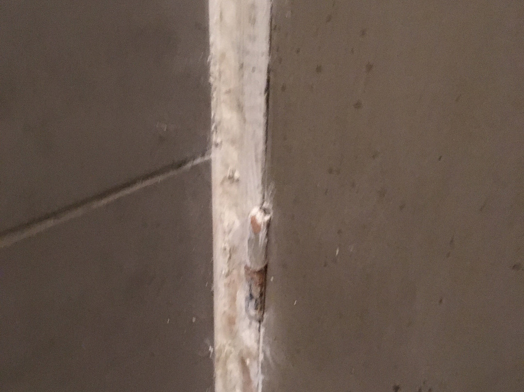 Côte Cannelle主图