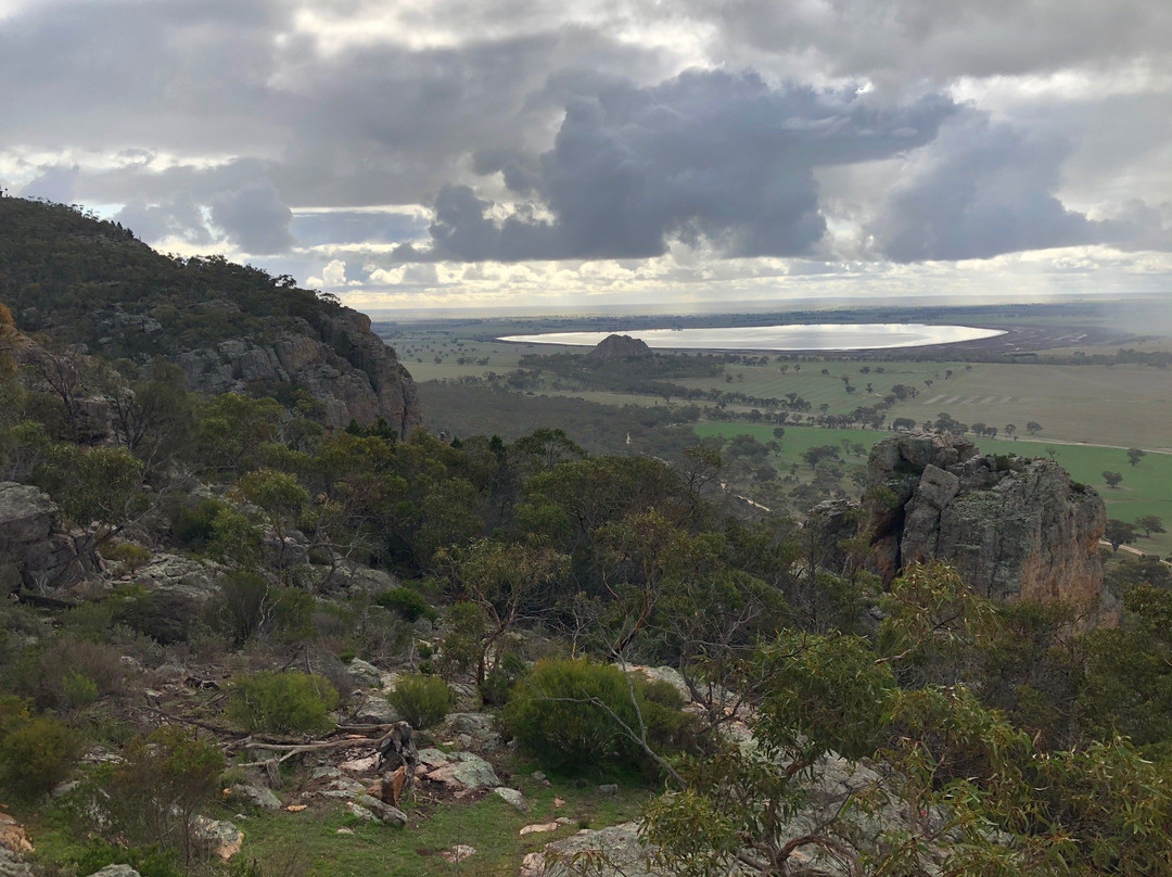 Mount Arapiles Summit景点图片