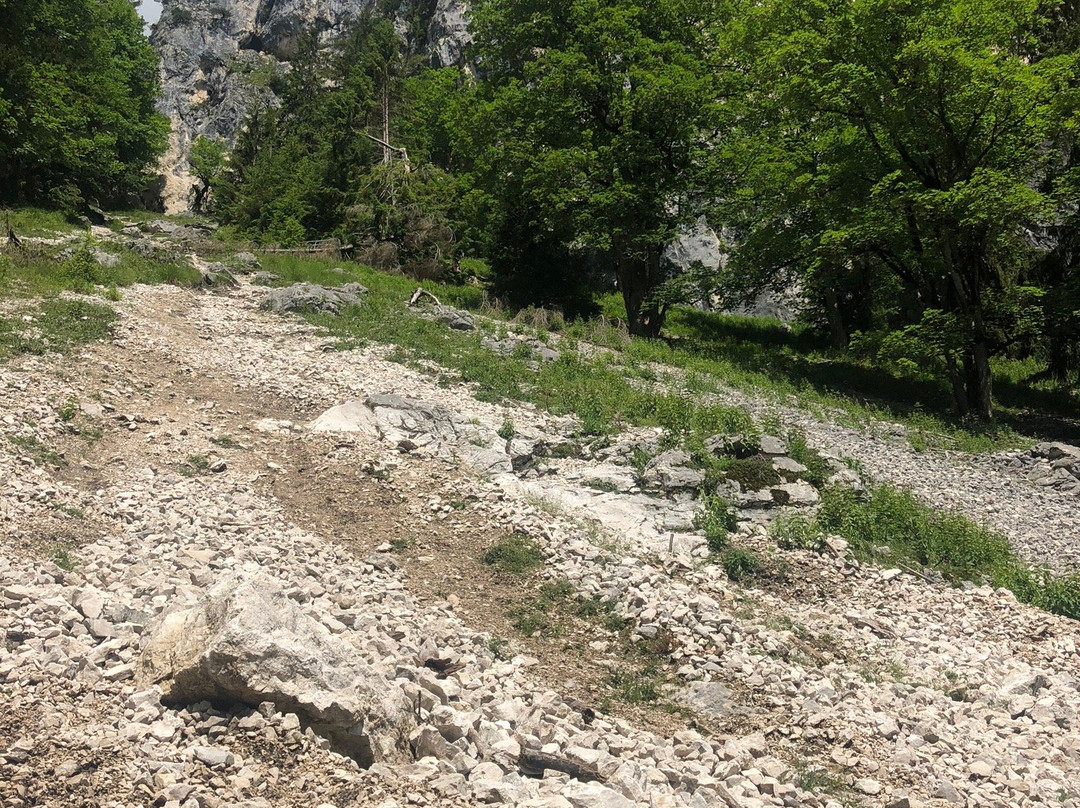 Kofel-奥伯阿默高必去景点