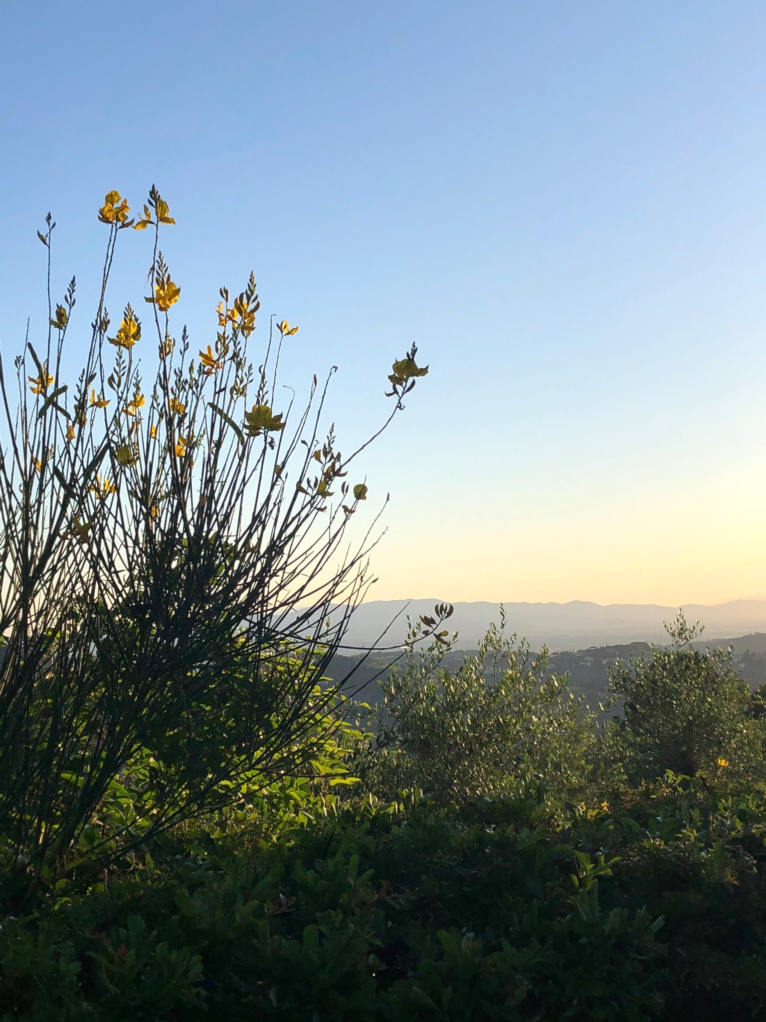 Florence Country Relais-官方