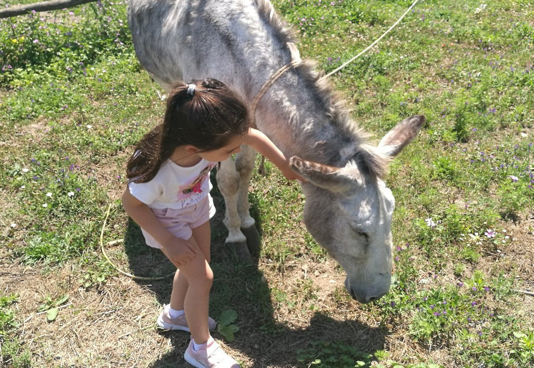 Agriturismo San Martino主图