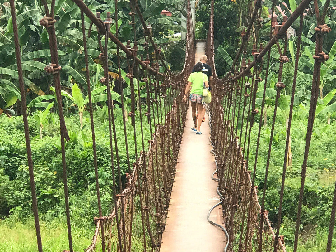 Tukuran Hanging Bridge景点图片