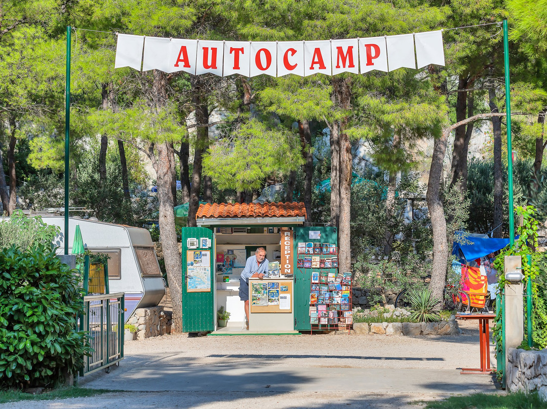 Camping Krvavica