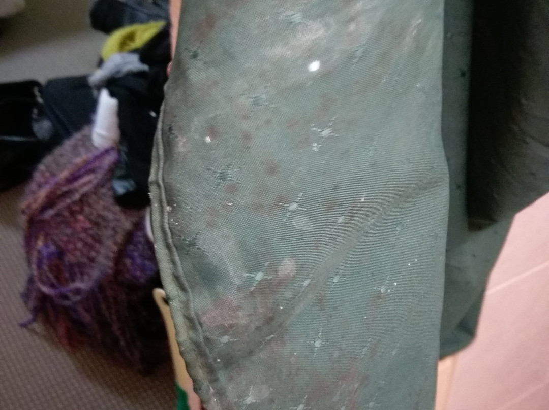 米勒平房汽车旅馆主图