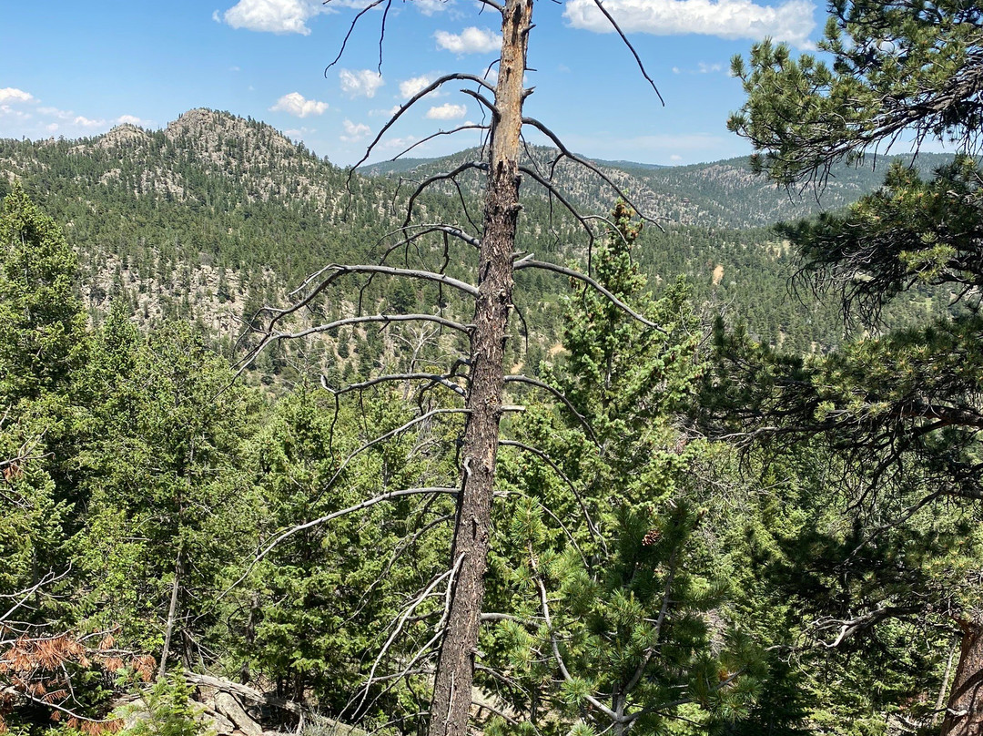 Hermit Park Open Space-埃斯蒂斯公园必去景点