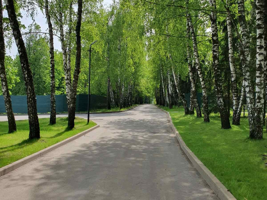 Tulip Inn Sofrino Park Hotel主图