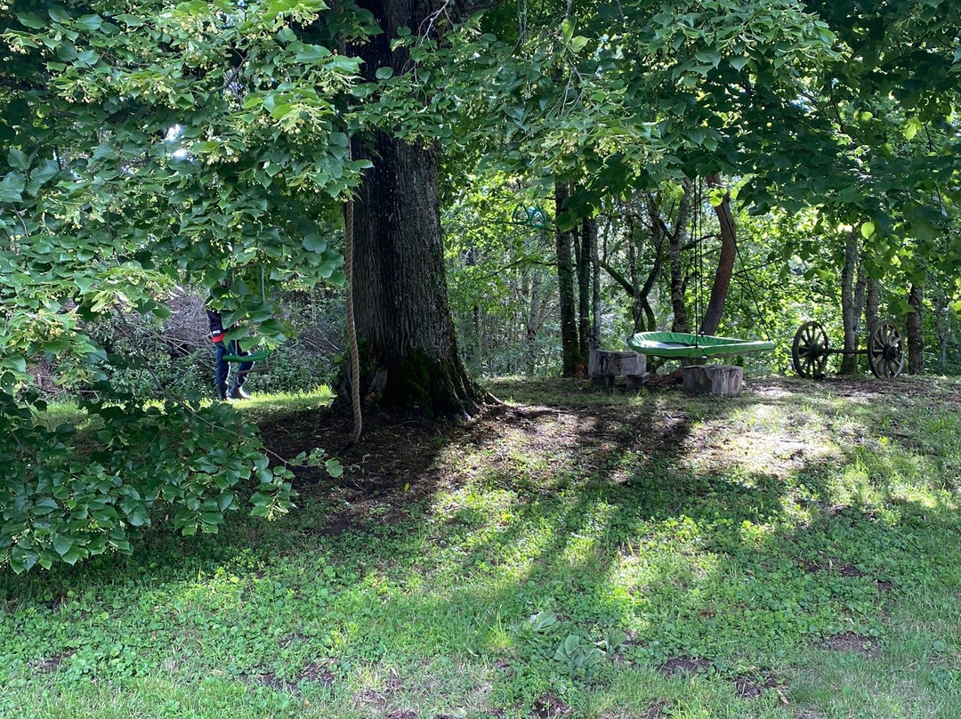 Domaine De Sault主图