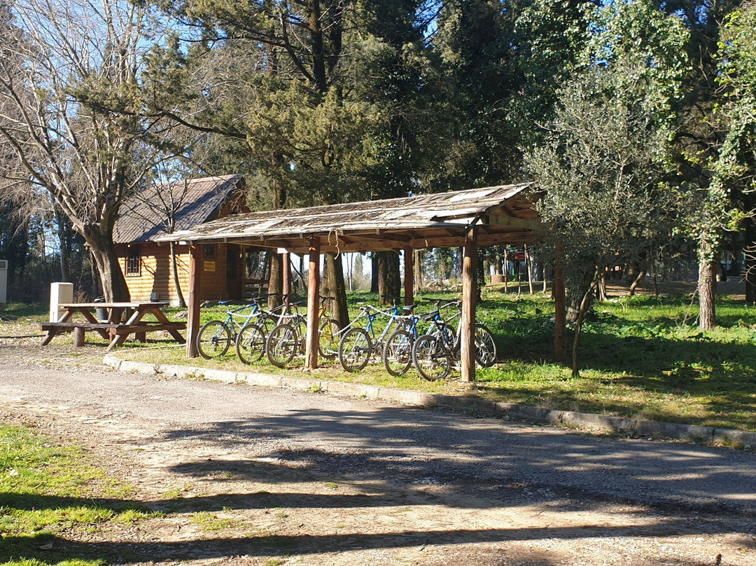Nature Park Hutovo Blato景点图片