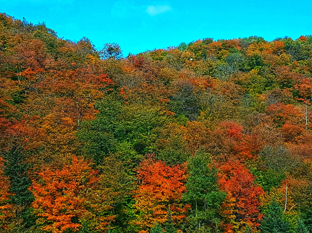 劳伦山脉-Saint-Cassien-des-Caps必去景点