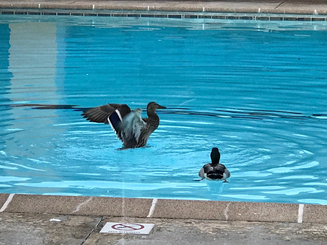 Greenstay Courtview主图