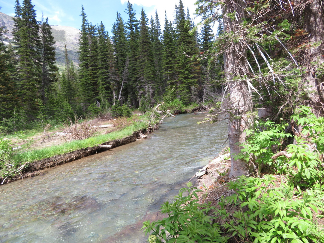 Grinnell Lake Trail景点图片