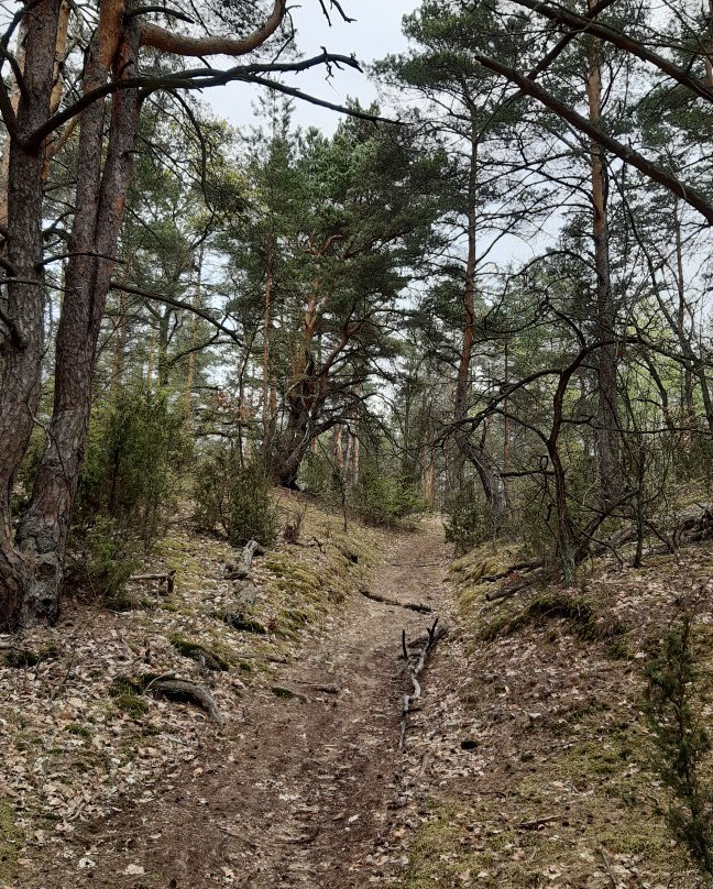Kampinoski Park Narodowy景点图片