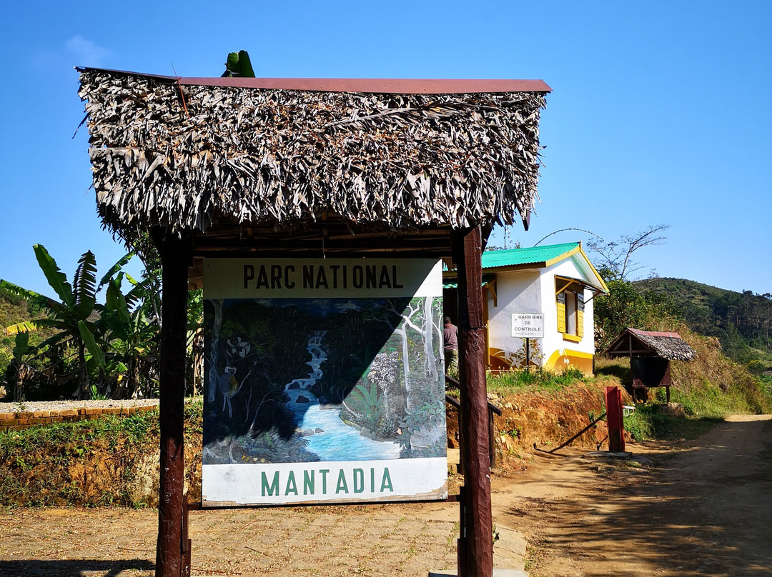 Andasibe-Mantadia National Park景点图片