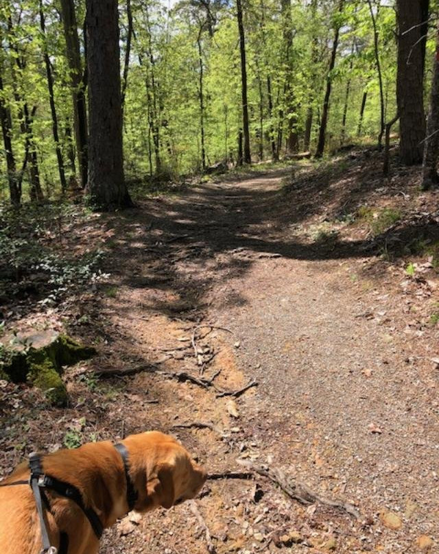 Red Roof Inn Hot Springs主图