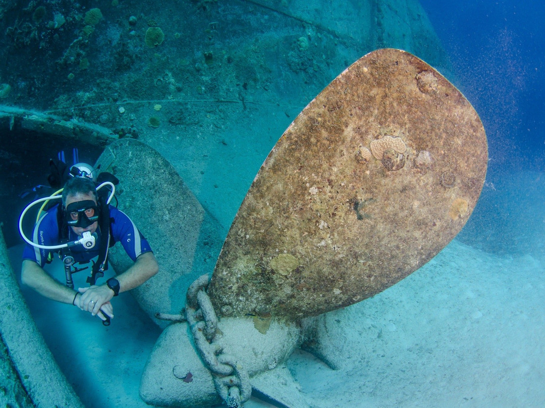 Canary Divers-布莱克本必去景点