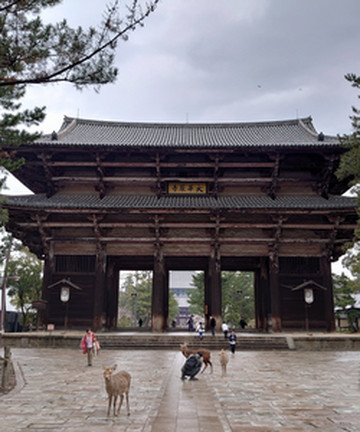 Todai-ji Temple Nandai Gate景点门票图片