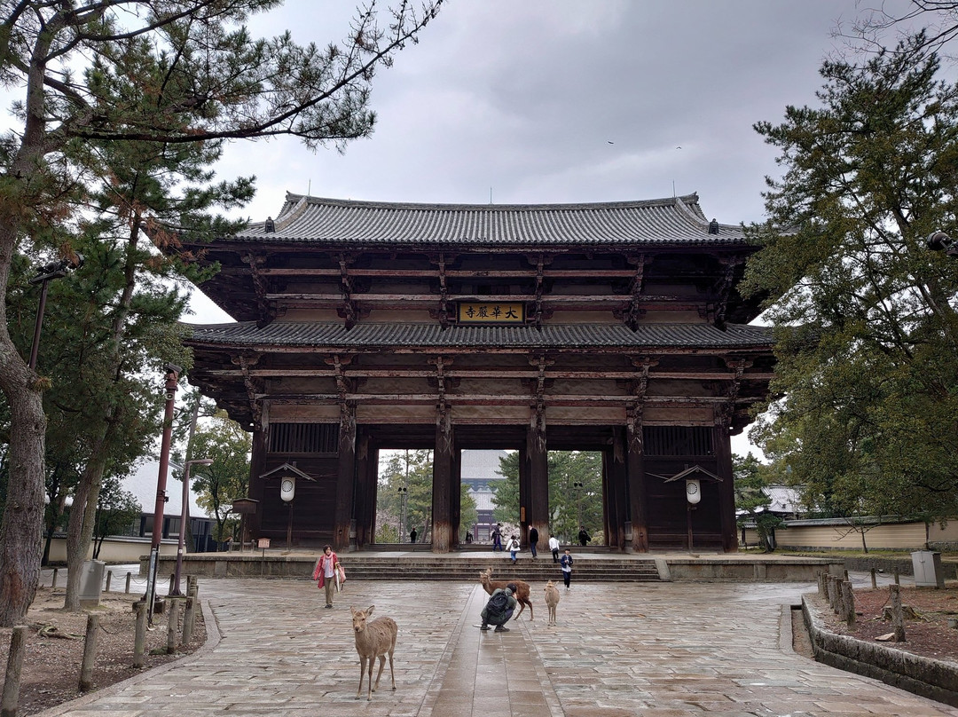 Todai-ji Temple Nandai Gate景点图片